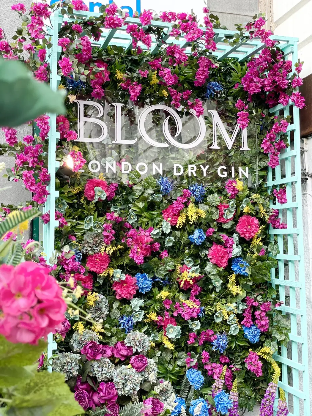 A wall of bright flowers with the Bloom London Dry Gin sign