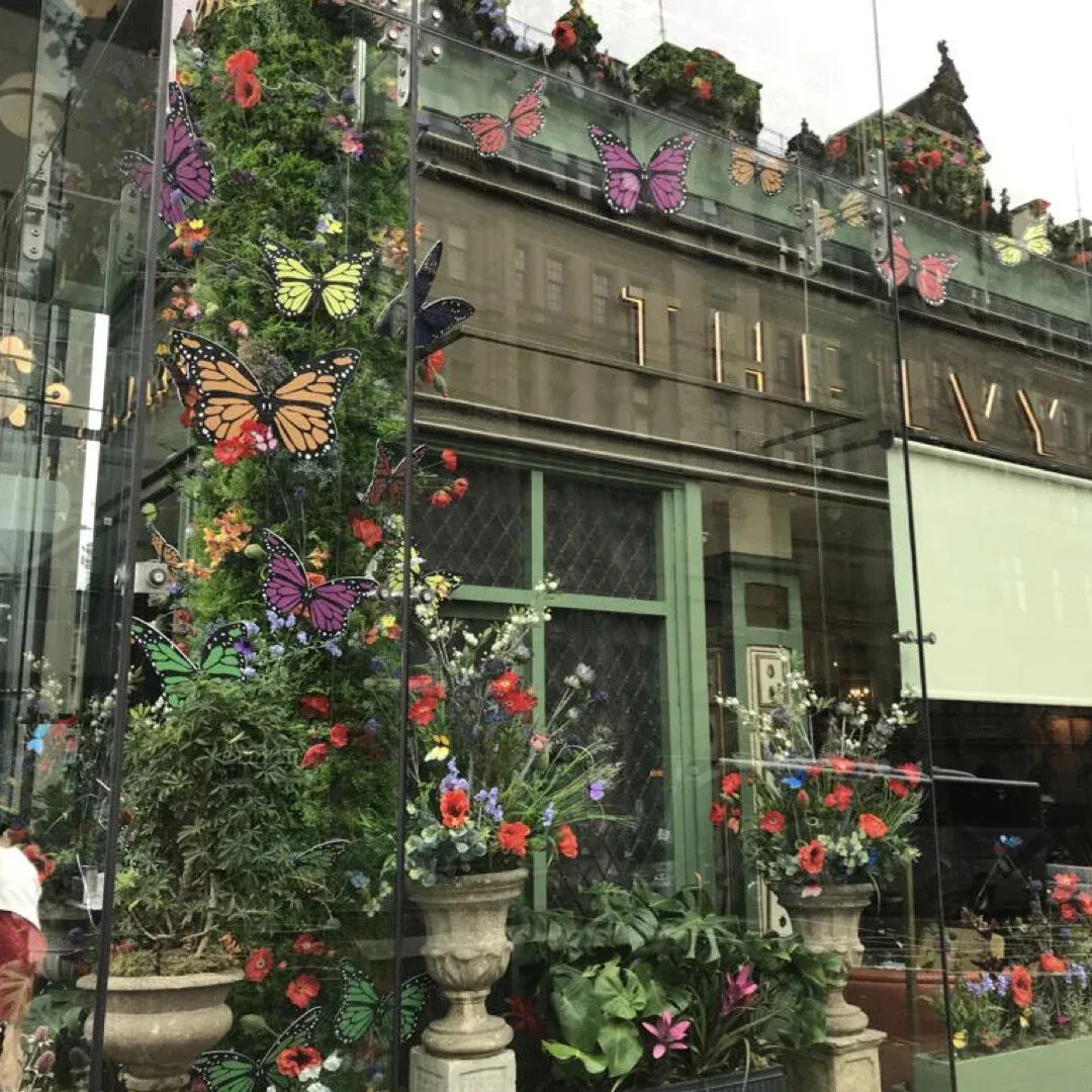 Butterflies and climbing flowers on The Ivy's façade