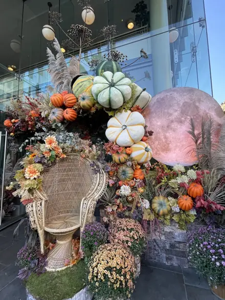 Pumpkins, gourds and a peacock chair in autumn colours