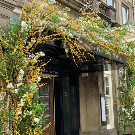 Yellow blossom over a canopy