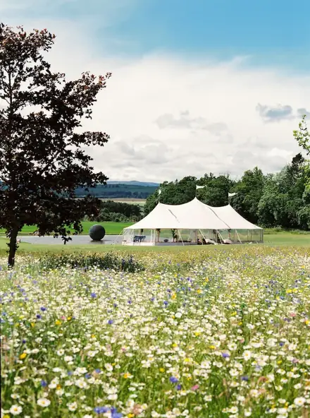 A marquee in a wildflower meadow at Harehope Hall